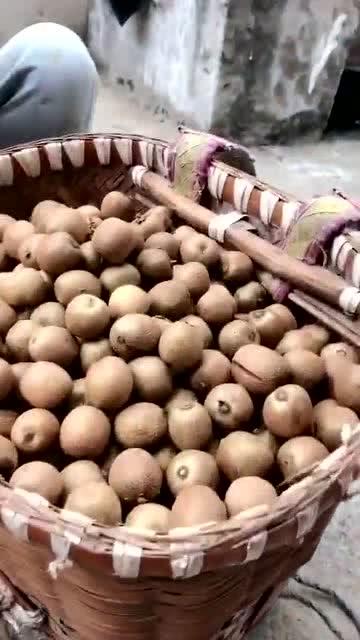 带你吃瓜野生骑士,带你领略“带你吃瓜野生骑士”的独特魅力 第1张 带你吃瓜野生骑士,带你领略“带你吃瓜野生骑士”的独特魅力 第1张